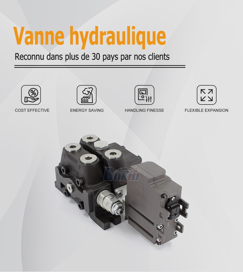 Reliable DCV100EMA-OT 1 Spool Sectional Directional Valve for Mobile and Industrial Hydraulics
